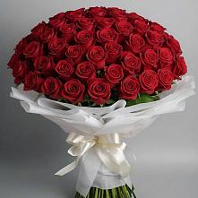Букет 101 Красная роза Блэк Мэджик в Терновском