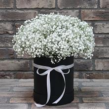 Цветочная композиция из Гипсофила в шляпной коробке в Терновском