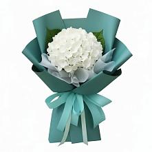 Букет цветов из:  Гортензия #REPLACE_PRED# Терновском